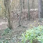 샬레 Des Pins D'autriche Comblain-Fairon