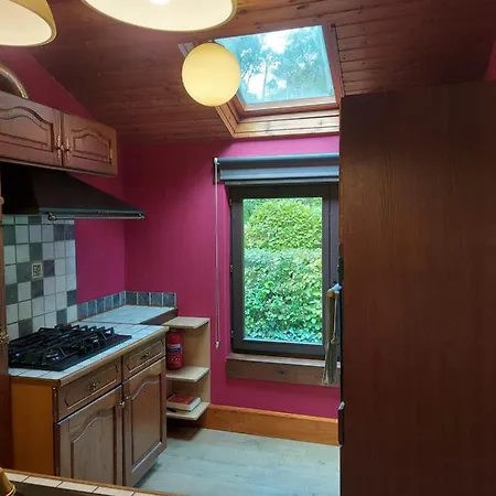 Des Pins D'autriche Comblain-Fairon