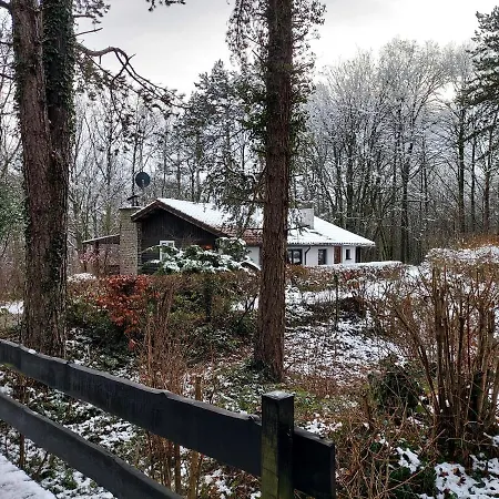 Chalet Des Pins D'autriche Comblain-Fairon