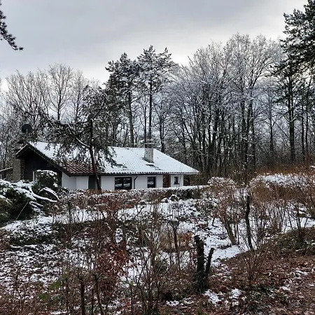 Des Pins D'autriche Chalet