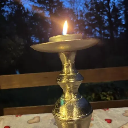 Des Pins D'autriche Chalet