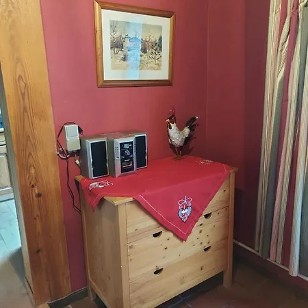 Des Pins D'autriche *