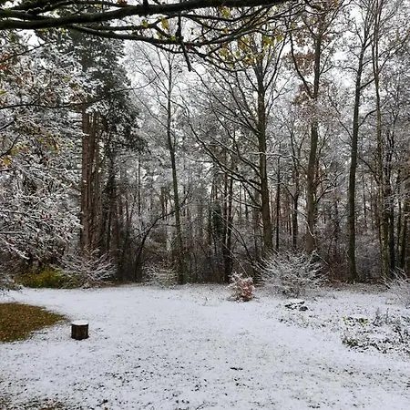 Des Pins D'autriche Chalet Comblain-Fairon