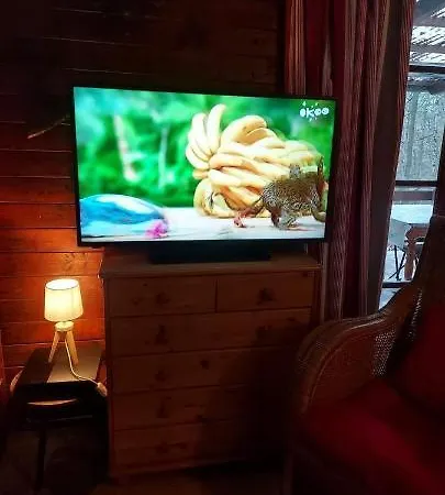 Des Pins D'autriche * Comblain-Fairon