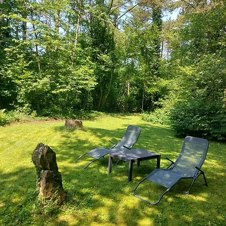 Des Pins D'autriche * Comblain-Fairon