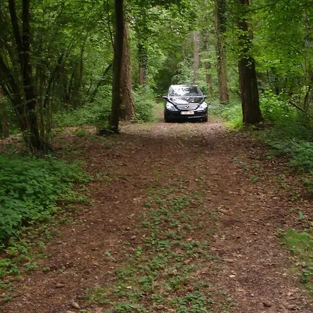 Chalet Des Pins D'autriche Comblain-Fairon