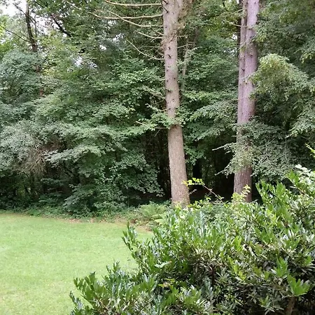 シャレー Des Pins D'autriche Comblain-Fairon