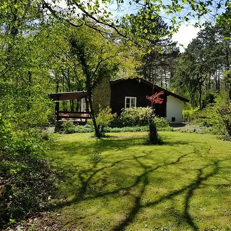 Des Pins D'autriche Chalet