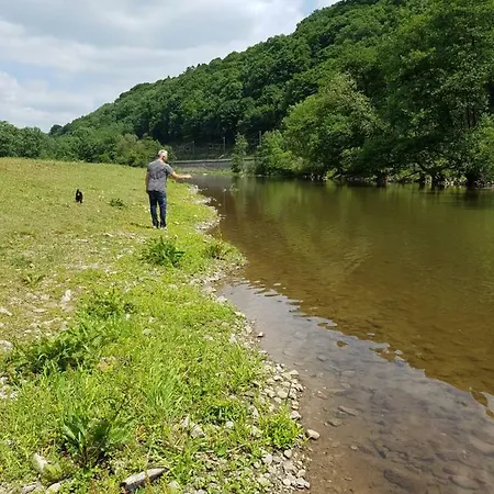 Des Pins D'autriche シャレー Comblain-Fairon