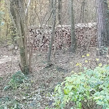 Alpesi faház Des Pins D'autriche Comblain-Fairon
