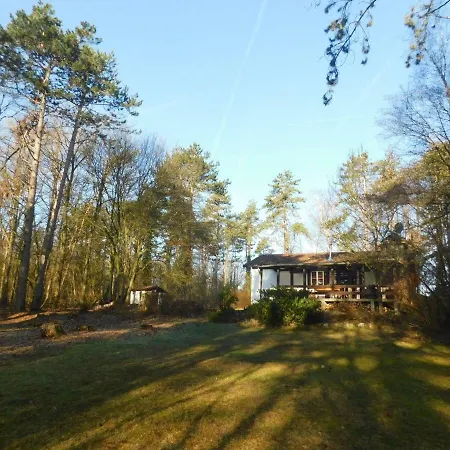 Des Pins D'autriche * Comblain-Fairon