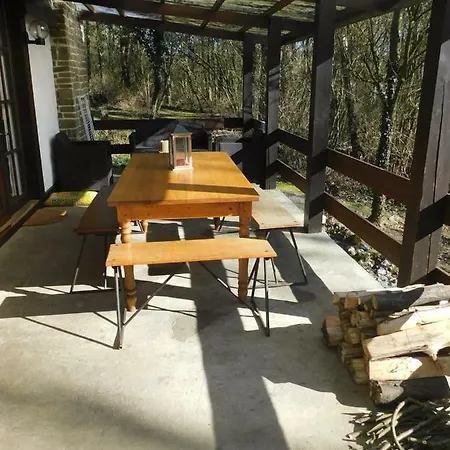 Des Pins D'autriche *