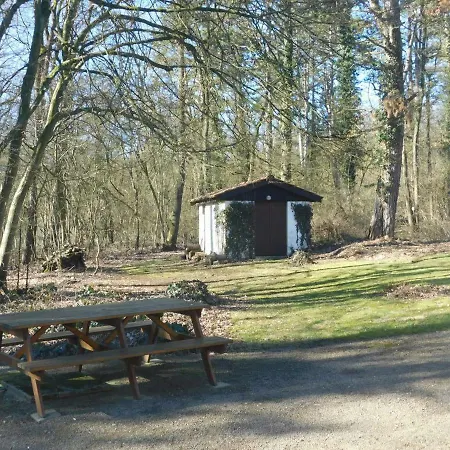 Chalet Des Pins D'autriche *