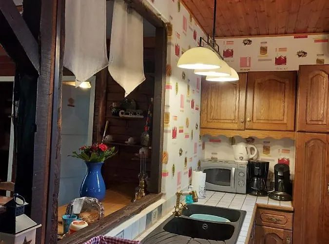 Des Pins D'autriche Comblain-Fairon