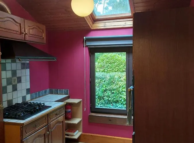 Des Pins D'autriche Comblain-Fairon