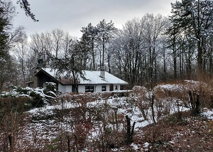 Des Pins D'autriche Dağ evi