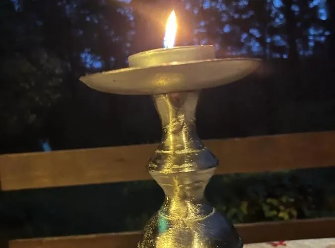 Des Pins D'autriche Dağ evi