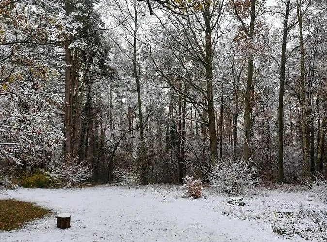 Des Pins D'autriche Chalet Comblain-Fairon