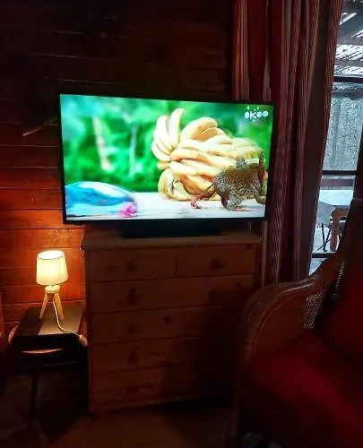 Des Pins D'autriche * Comblain-Fairon