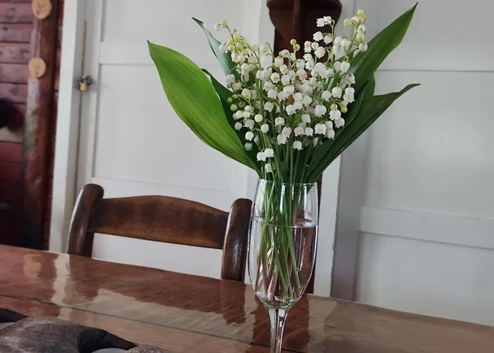 Chalet Des Pins D'autriche Comblain-Fairon