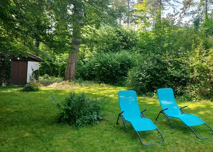 Des Pins D'autriche * Comblain-Fairon