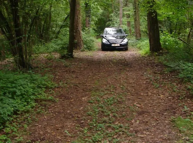 Chalet Des Pins D'autriche Comblain-Fairon