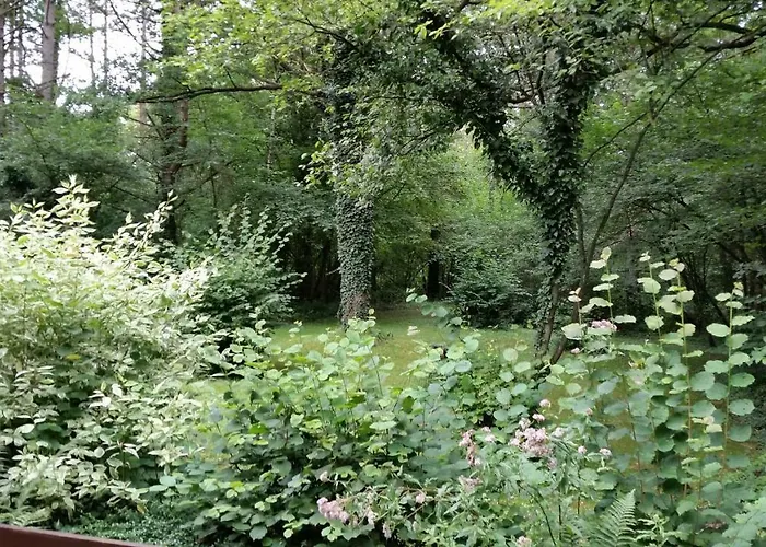 Des Pins D'autriche Dağ evi