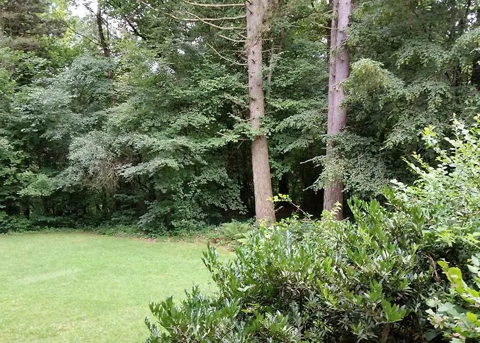 Chalet Des Pins D'autriche Comblain-Fairon