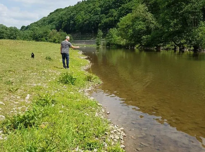 Des Pins D'autriche Dağ evi Comblain-Fairon