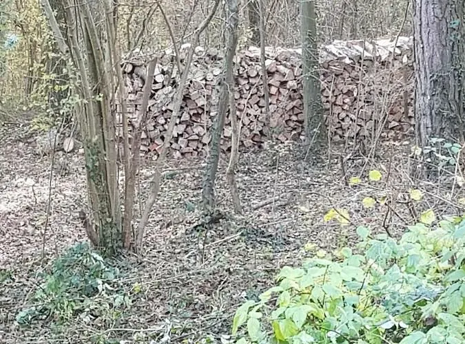 Dağ evi Des Pins D'autriche Comblain-Fairon