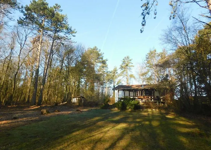 Des Pins D'autriche * Comblain-Fairon