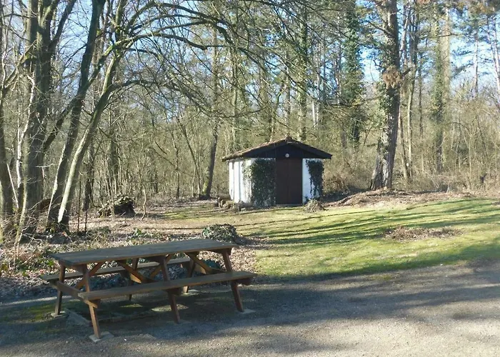 Chalet Des Pins D'autriche *